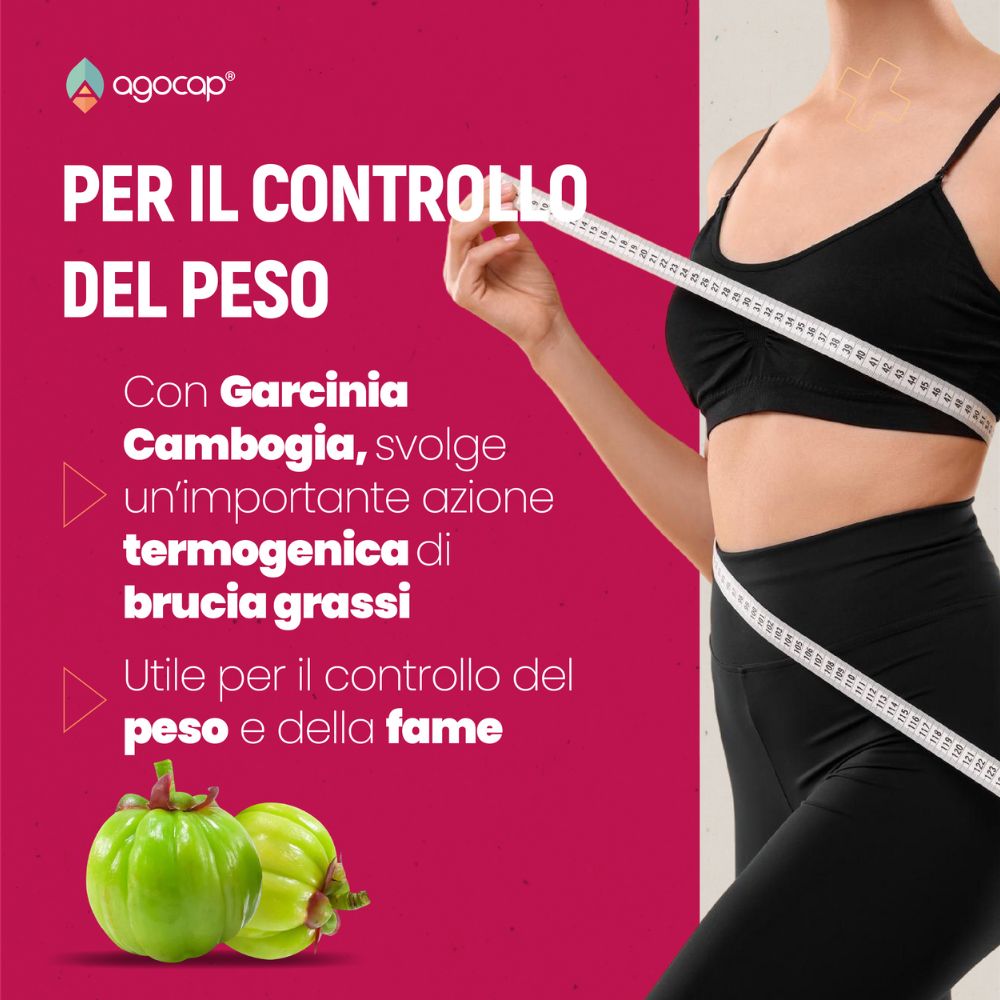 Isovamp | Integratore per menopausa con Isoflavoni di Trifoglio Rosso e Cimicifuga - foto 5
