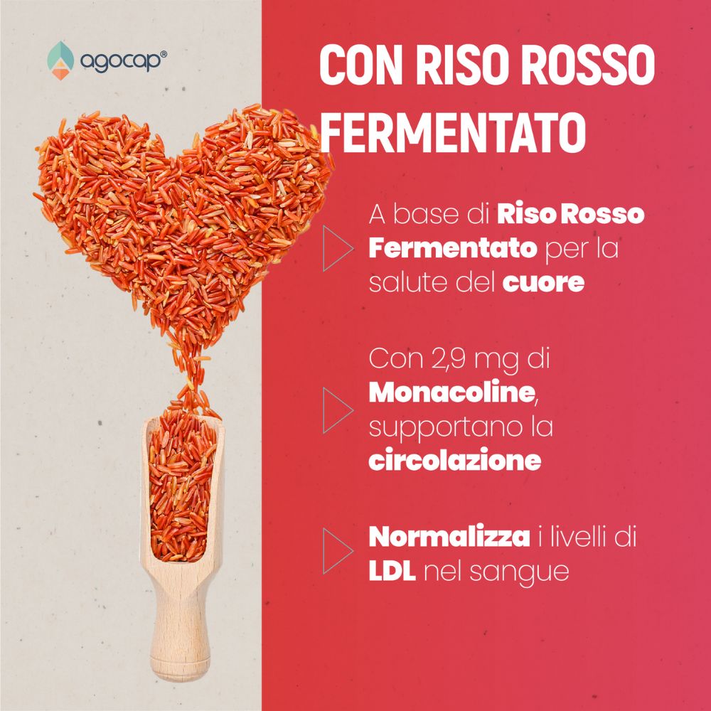 Colestaid PRO, Integratore Alimentare per il Controllo del Colesterolo, con Riso Rosso Fermentato, 300 compresse - foto 2