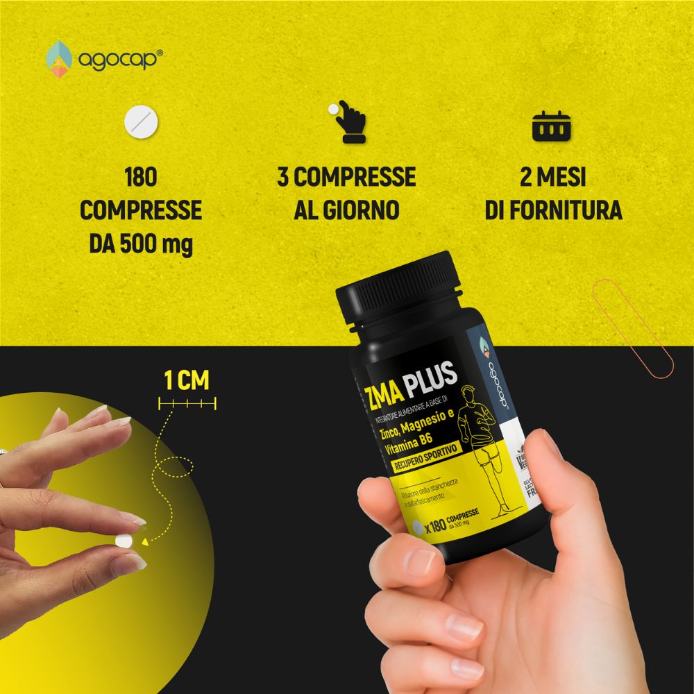 ZMA Plus | Integratore con Zinco, Magnesio e Vitamina B6 per Recupero Sportivo - foto 4