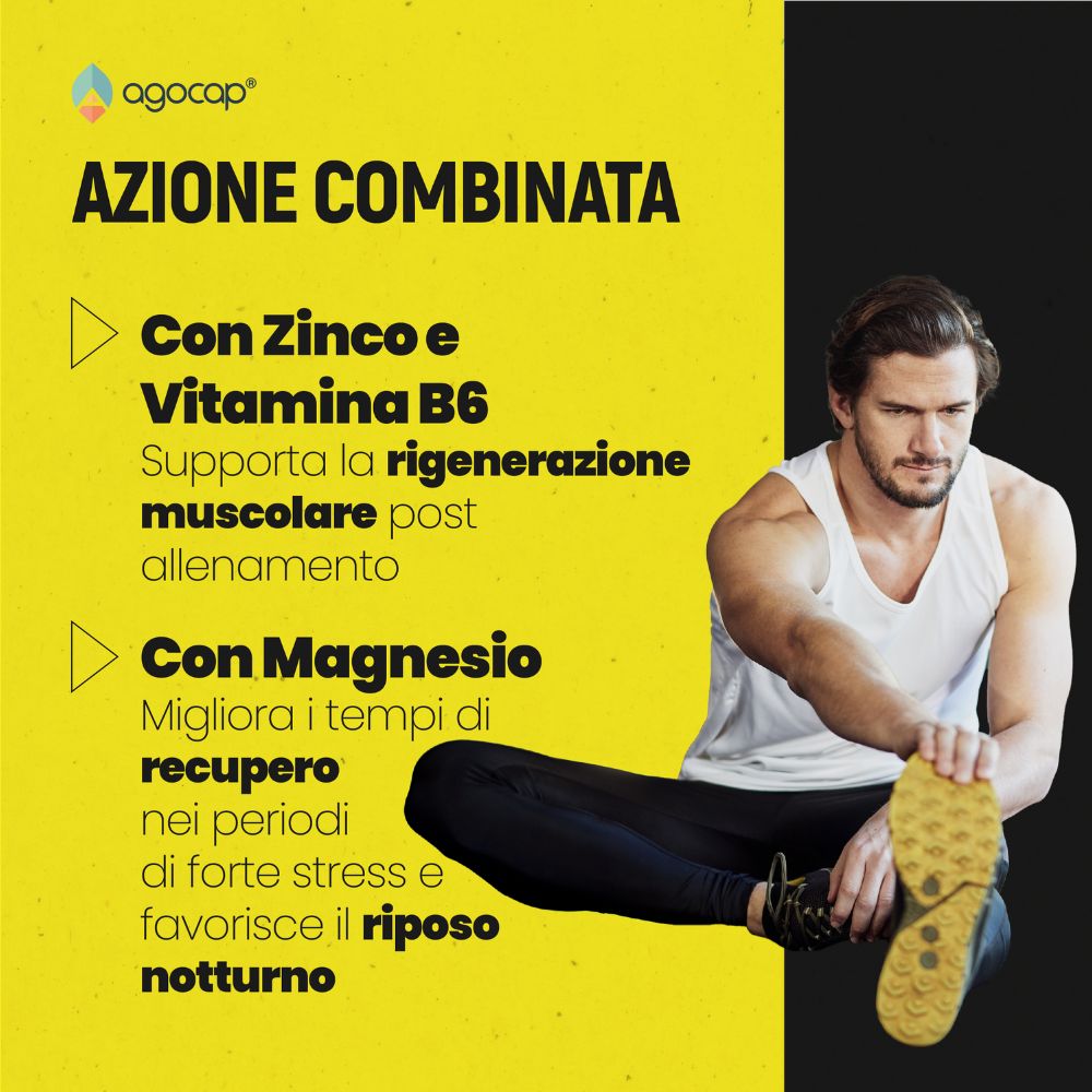 ZMA Plus | Integratore con Zinco, Magnesio e Vitamina B6 per Recupero Sportivo - foto 5