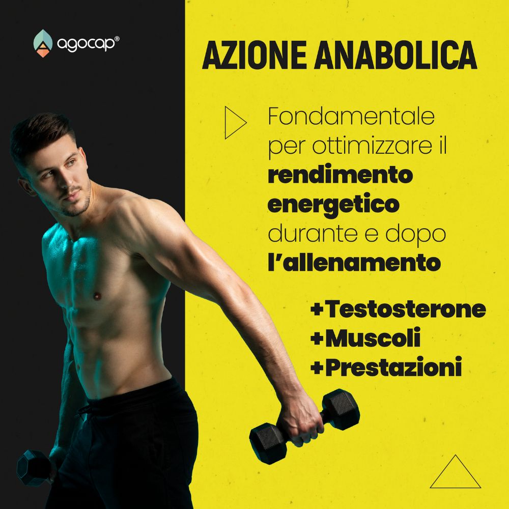 ZMA Plus | Integratore con Zinco, Magnesio e Vitamina B6 per Recupero Sportivo - foto 6