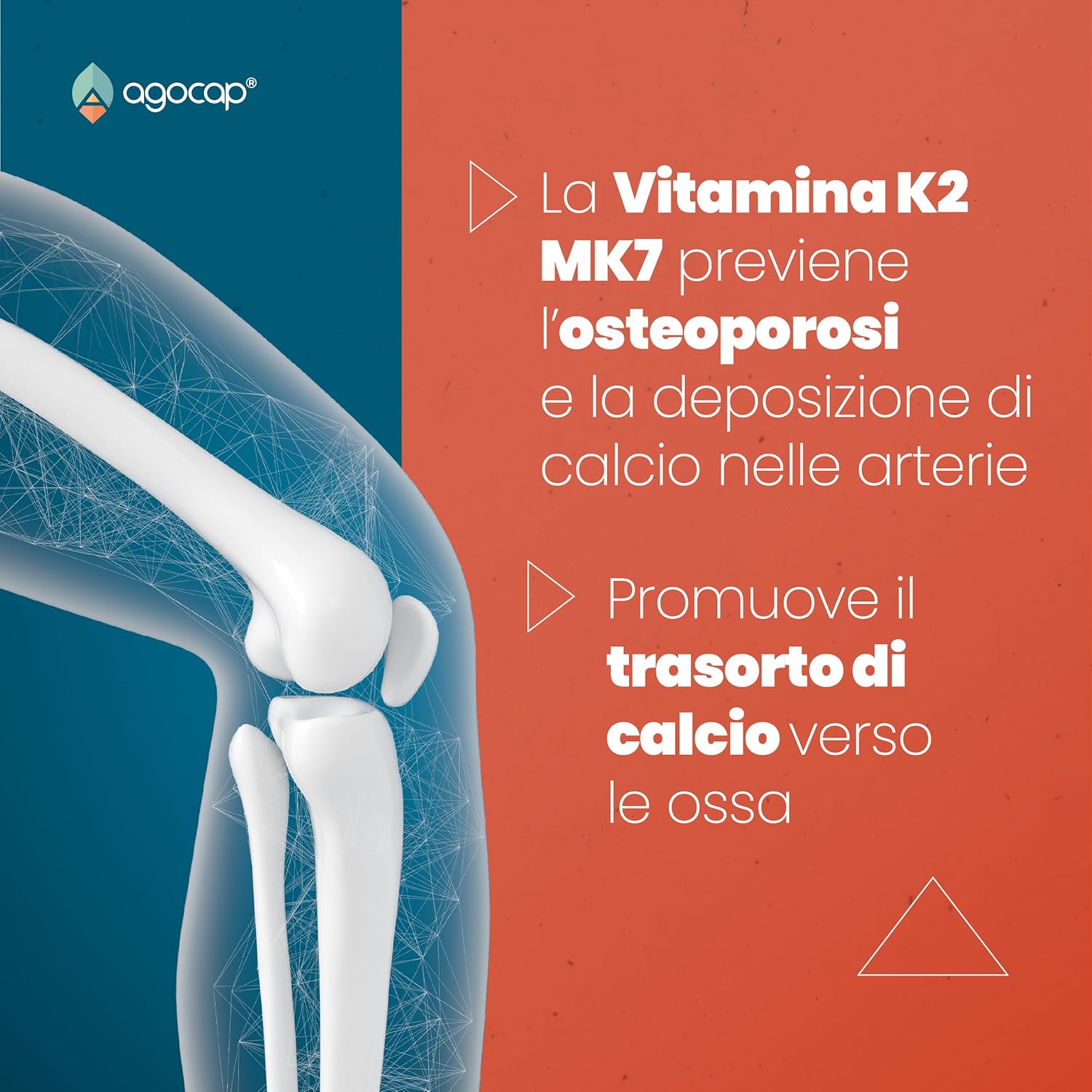 Vitamina K2 MK7 200 mcg | Integratore per Ossa e Sistema Cardiovascolare - foto 3