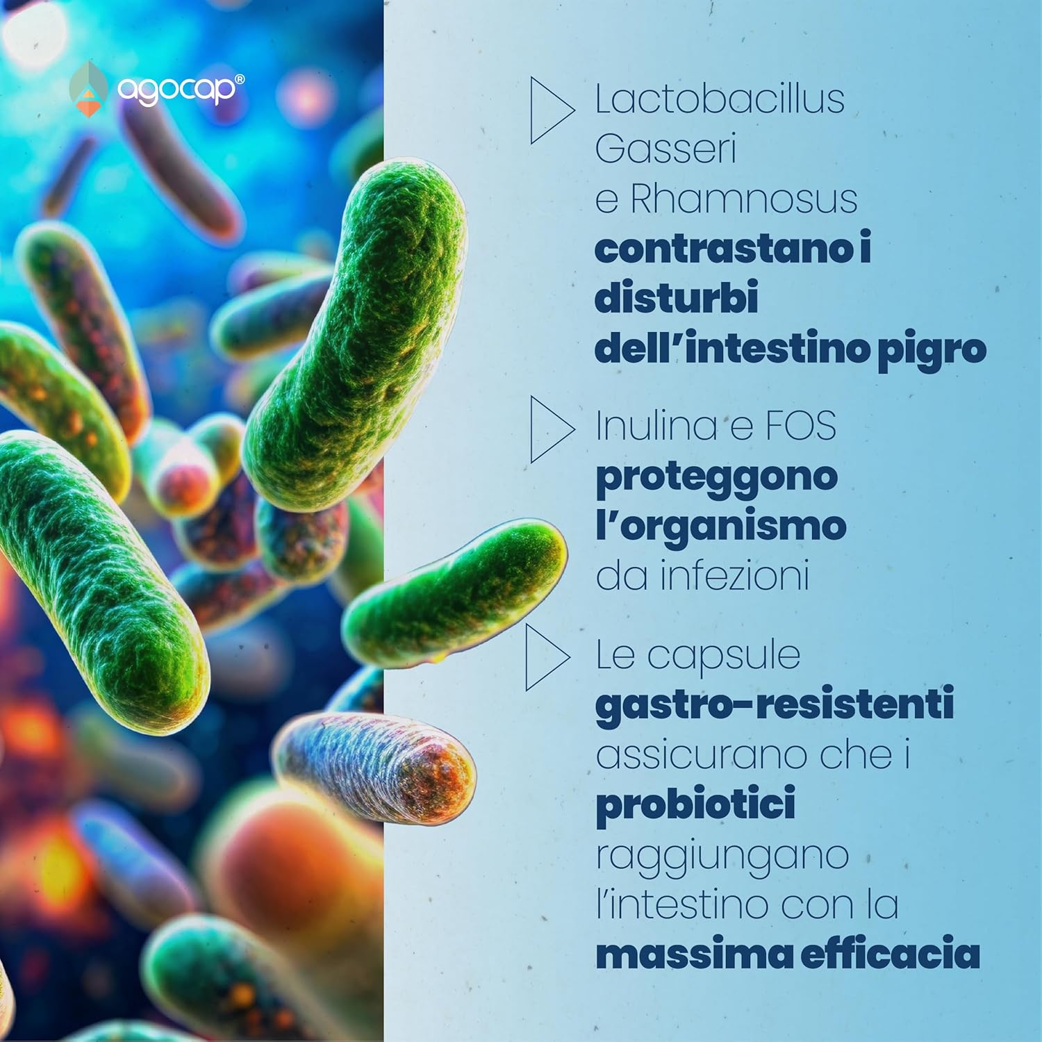 ProLactic | Fermenti lattici e prebiotici per l’equilibrio della flora intestinale - foto 4