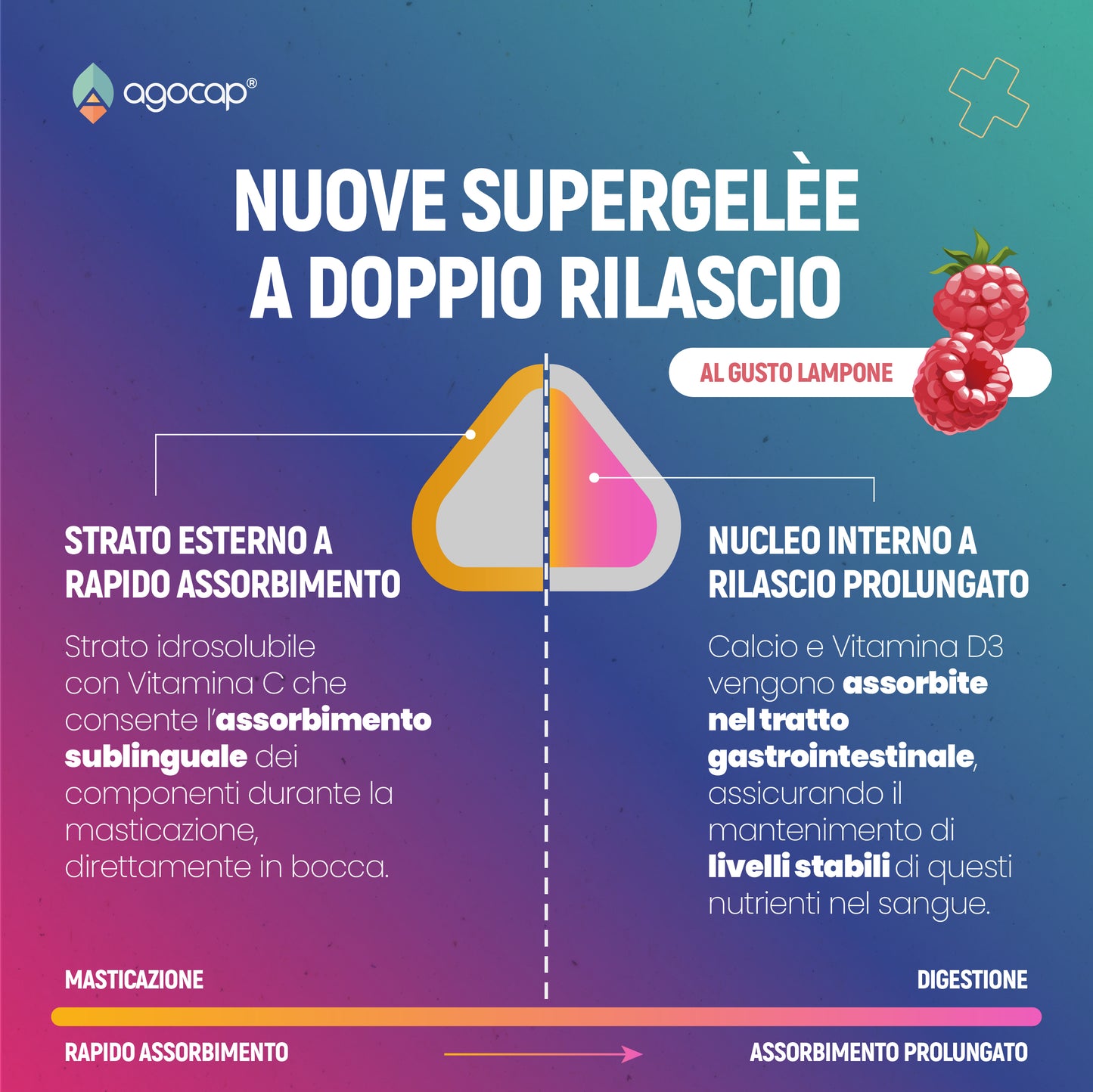 Calcio + Vitamina D3 | Integratore per ossa, denti e articolazioni con supergelée masticabili - foto 5