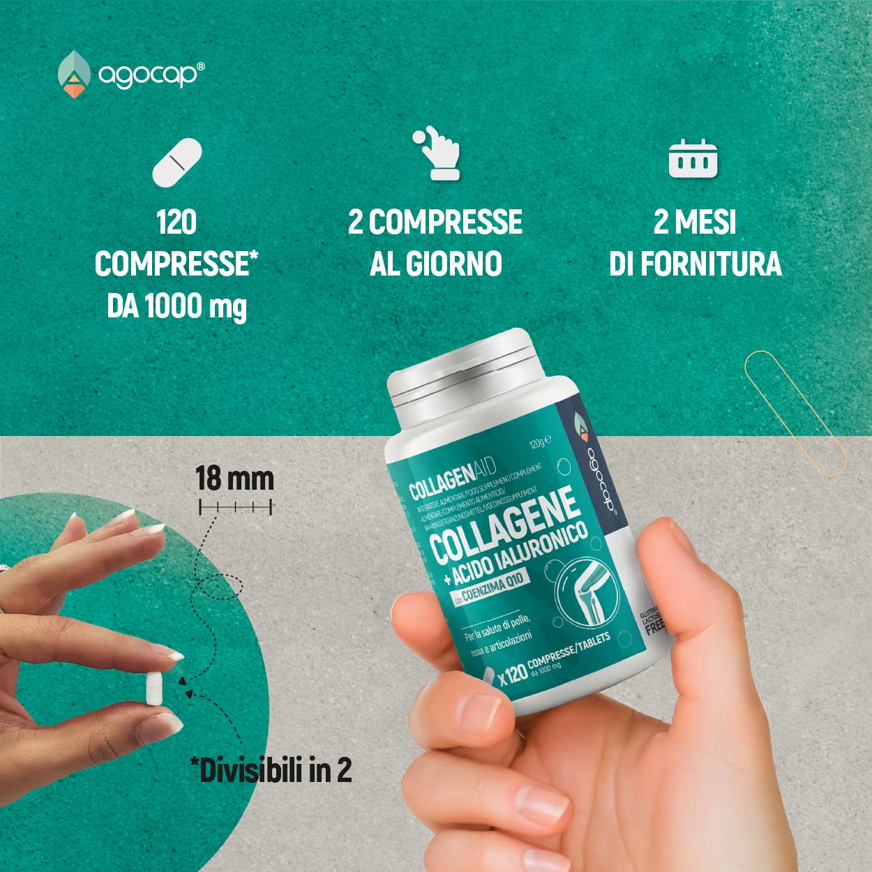 Collagenaid | Integratore per articolazioni, tendini e pelle con Collagene, Acido Ialuronico e Coenzima Q10 - foto 5
