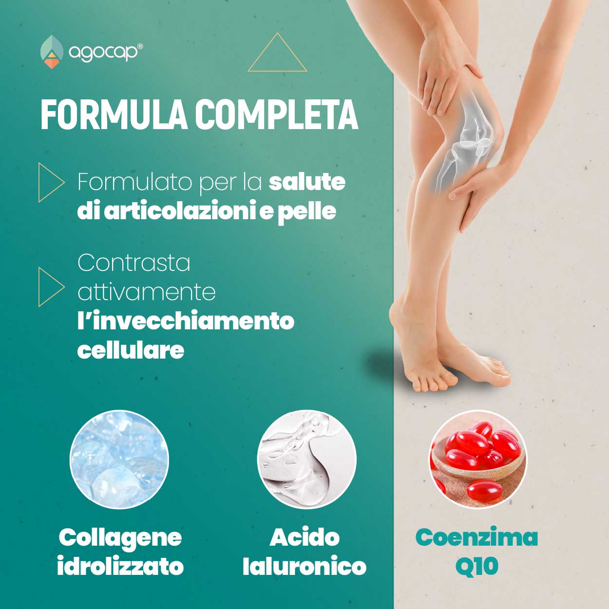 Collagenaid | Integratore per articolazioni, tendini e pelle con Collagene, Acido Ialuronico e Coenzima Q10 - foto 2