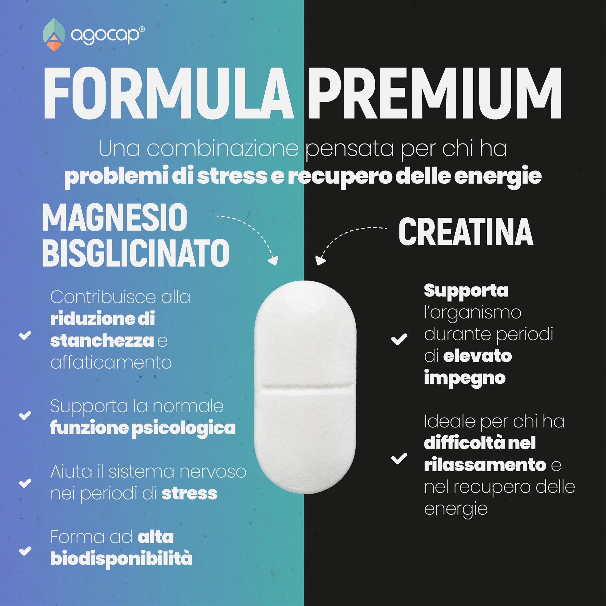 Magnesio Bisglicinato + Creatina | Contro stress, affaticamento e stanchezza - foto 4