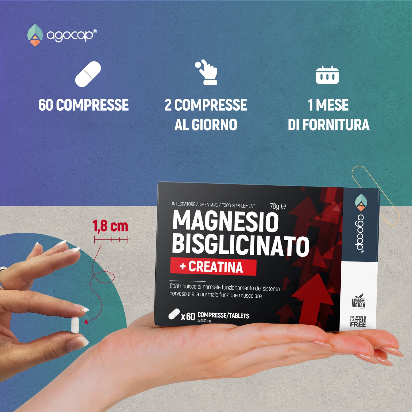 Magnesio Bisglicinato + Creatina | Contro stress, affaticamento e stanchezza - foto 7